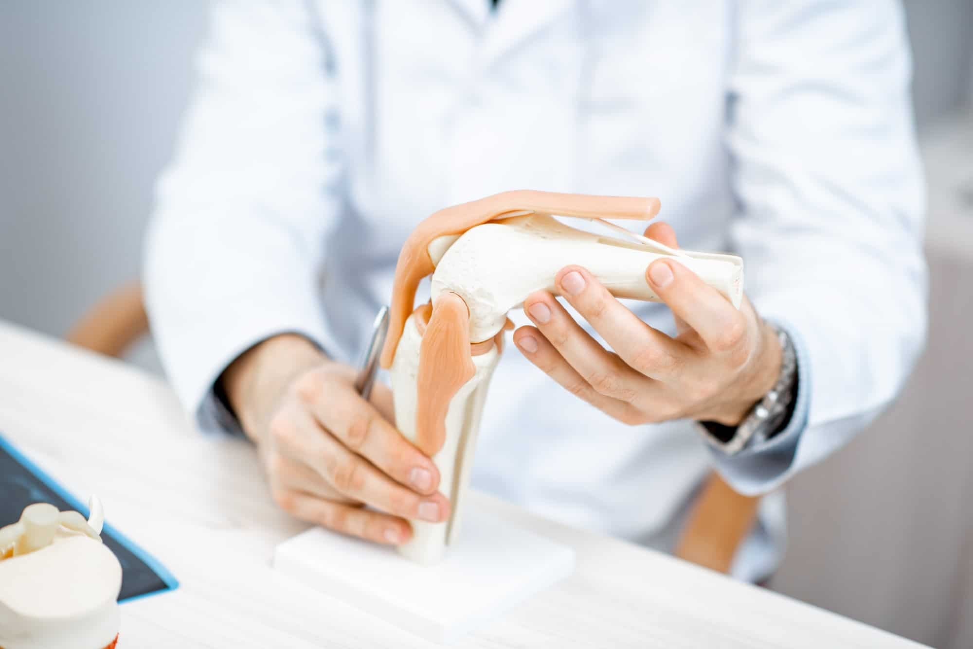 Therapist showing knee joint model